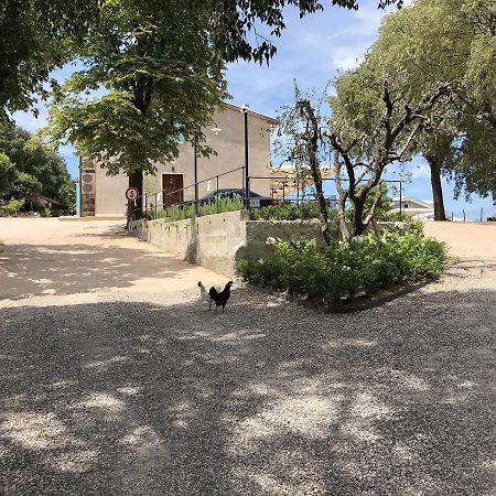 Agriturismo2Laghi بونتي سول مينشيو المظهر الخارجي الصورة