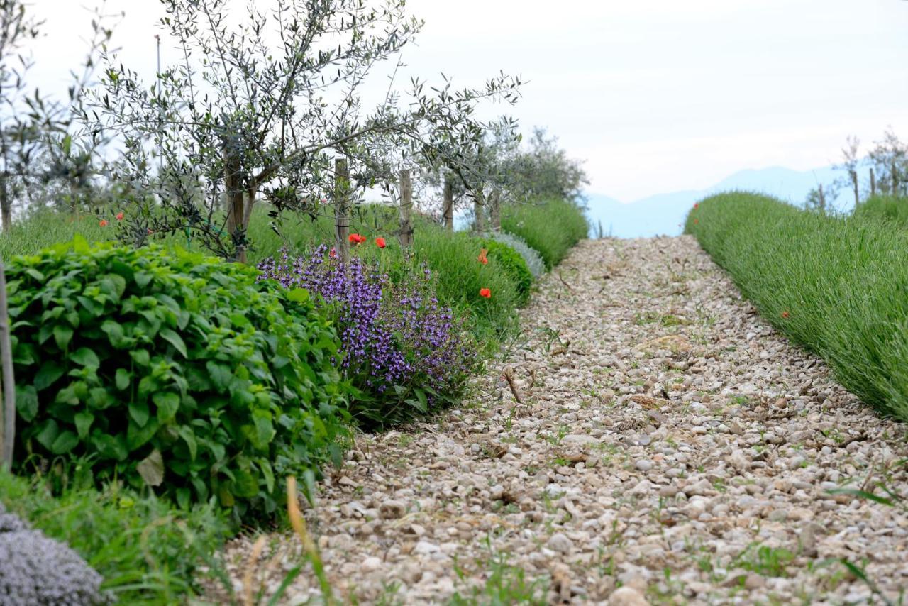 Agriturismo2Laghi بونتي سول مينشيو المظهر الخارجي الصورة